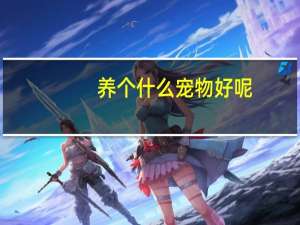 养个什么宠物好呢