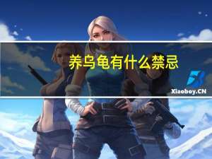 养乌龟有什么禁忌