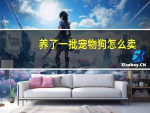 养了一批宠物狗怎么卖