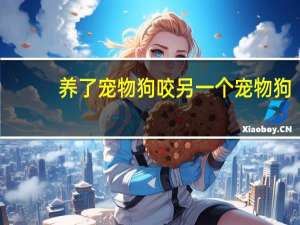 养了宠物狗咬另一个宠物狗