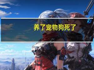 养了宠物狗死了