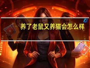 养了老鼠又养猫会怎么样