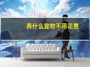 养什么宠物不用花费