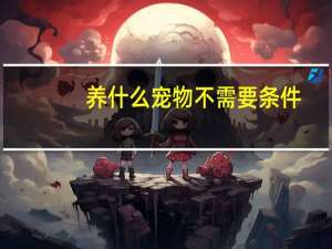养什么宠物不需要条件