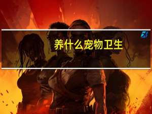 养什么宠物卫生