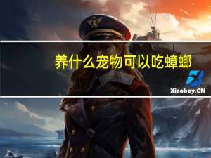 养什么宠物可以吃蟑螂