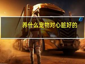 养什么宠物对心脏好的