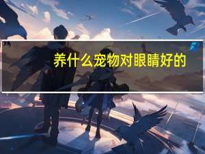 养什么宠物对眼睛好的