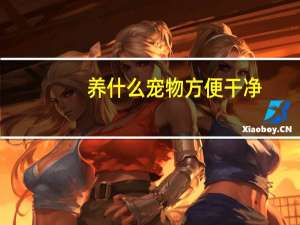 养什么宠物方便干净