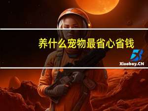 养什么宠物最省心省钱