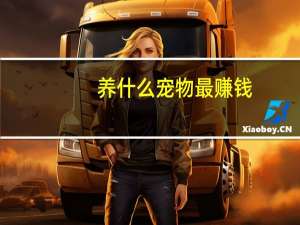 养什么宠物最赚钱