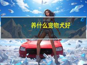 养什么宠物犬好