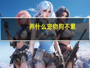 养什么宠物狗不累