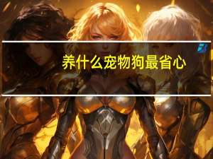 养什么宠物狗最省心