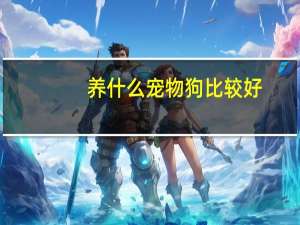 养什么宠物狗比较好