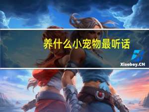 养什么小宠物最听话