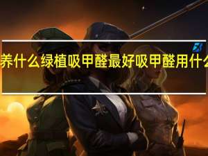 养什么绿植吸甲醛最好 吸甲醛用什么绿化