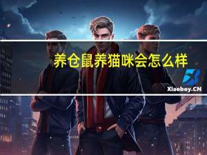 养仓鼠养猫咪会怎么样