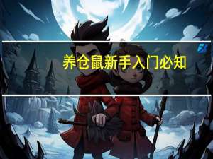 养仓鼠新手入门必知