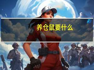 养仓鼠要什么