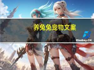 养兔兔宠物文案
