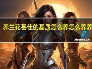 养兰花甚佳的基质怎么养 怎么养养兰花