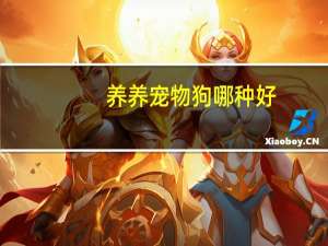 养养宠物狗哪种好