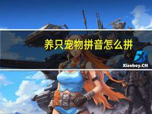 养只宠物拼音怎么拼