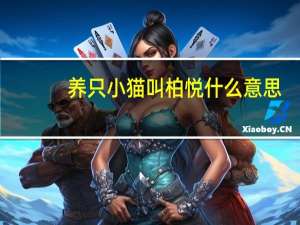 养只小猫叫柏悦什么意思