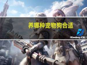 养哪种宠物狗合适