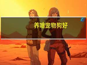 养啥宠物狗好