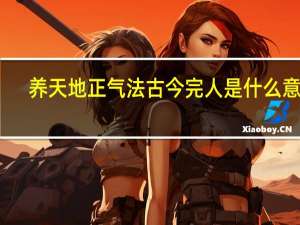 养天地正气法古今完人是什么意思