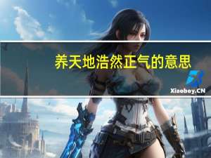 养天地浩然正气的意思