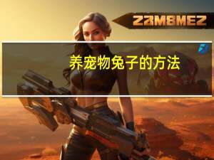养宠物兔子的方法