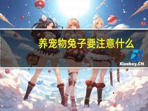 养宠物兔子要注意什么