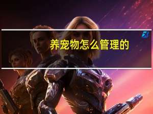 养宠物怎么管理的
