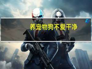 养宠物狗不爱干净