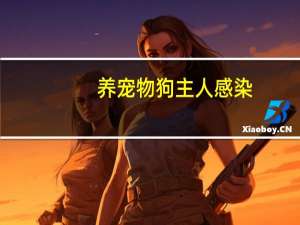 养宠物狗主人感染