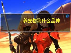 养宠物狗什么品种