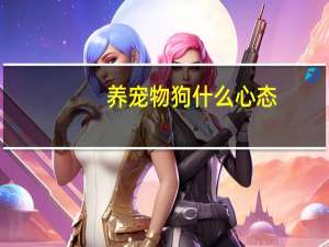 养宠物狗什么心态