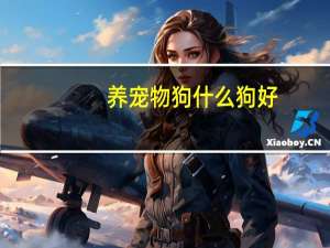 养宠物狗什么狗好