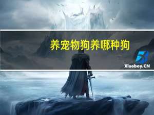 养宠物狗养哪种狗