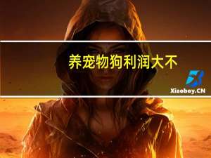 养宠物狗利润大不