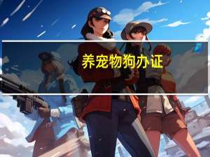 养宠物狗办证
