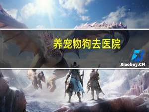 养宠物狗去医院