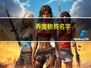 养宠物狗名字