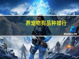 养宠物狗品种排行