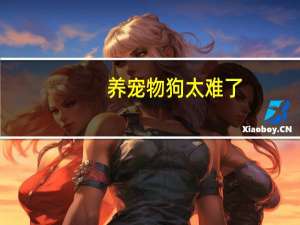 养宠物狗太难了