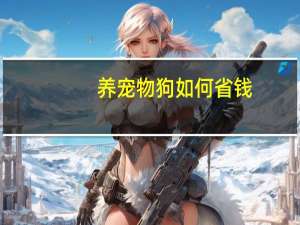 养宠物狗如何省钱