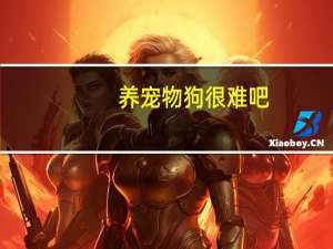 养宠物狗很难吧